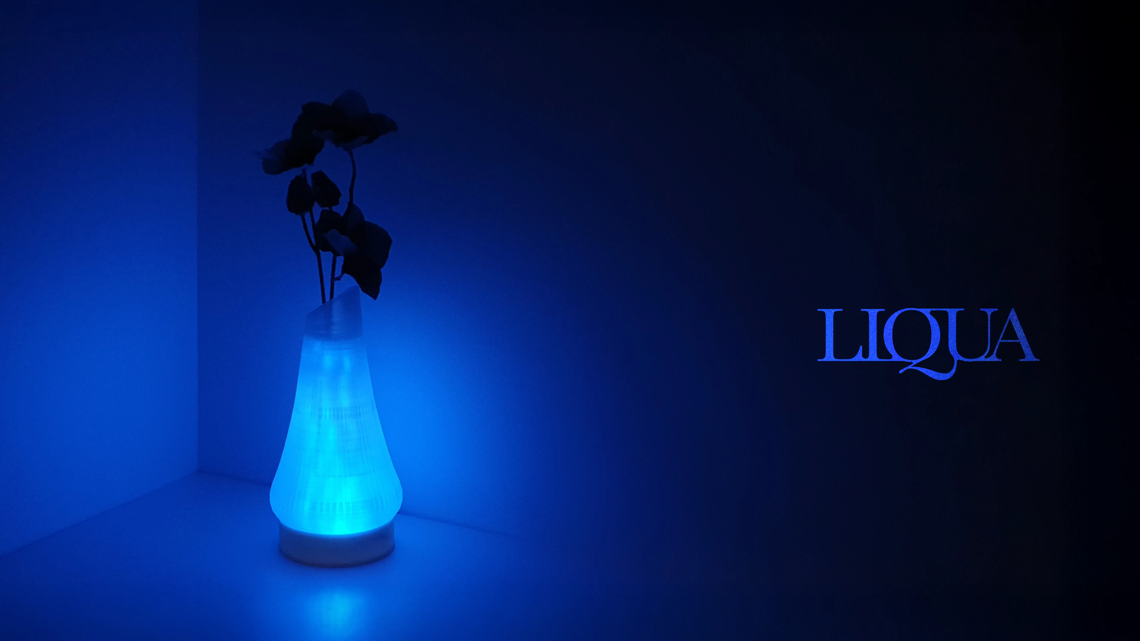LIQUA illuminated interactive object